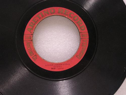 Aretino 25 cm plaat center gat 75 mm dubbelzijdig